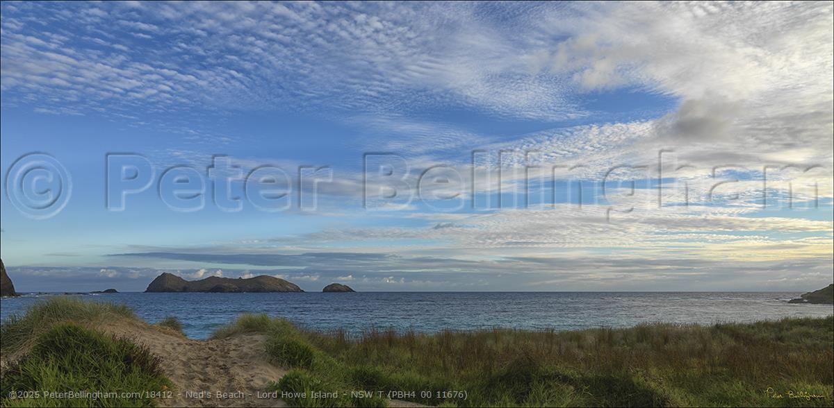 Peter Bellingham Photography Ned's Beach - Lord Howe Island - NSW T (PBH4 00 11676)